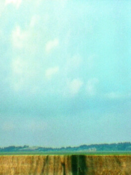 Leonardo Dal Bo Lo Porto