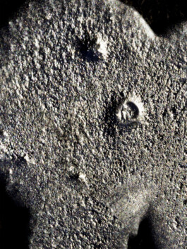 Leonardo Dal Bo Lo Porto