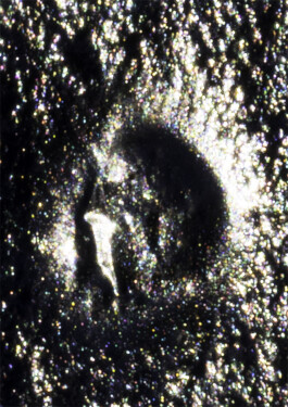 Leonardo Dal Bo Lo Porto