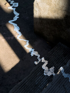 Leonardo Dal Bo Lo Porto