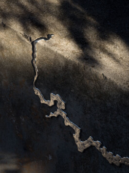 Leonardo Dal Bo Lo Porto