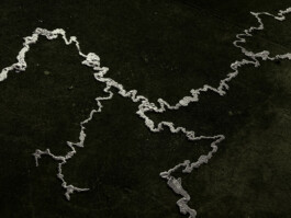 Leonardo Dal Bo Lo Porto