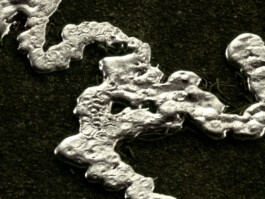 Leonardo Dal Bo Lo Porto