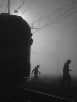 Leonardo Dal Bo Lo Porto