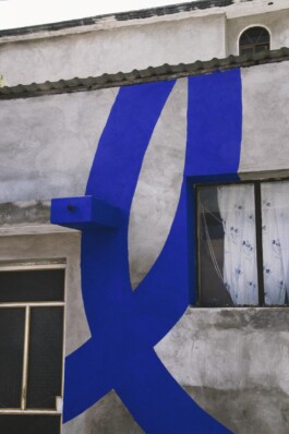 Leonardo Dal Bo Lo Porto