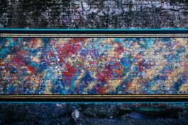 Leonardo Dal Bo Lo Porto