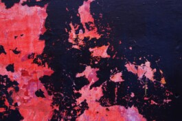 Leonardo Dal Bo Lo Porto