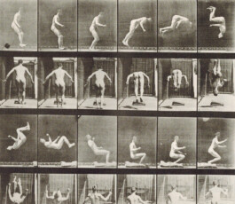 Leonardo Dal Bo Lo Porto