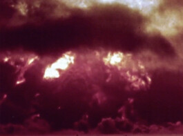 Leonardo Dal Bo Lo Porto