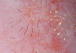 Leonardo Dal Bo Lo Porto