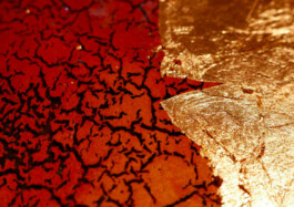 Leonardo Dal Bo Lo Porto