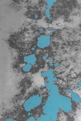 Leonardo Dal Bo Lo Porto