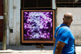 Leonardo Dal Bo Lo Porto