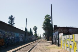 Leonardo Dal Bo Lo Porto