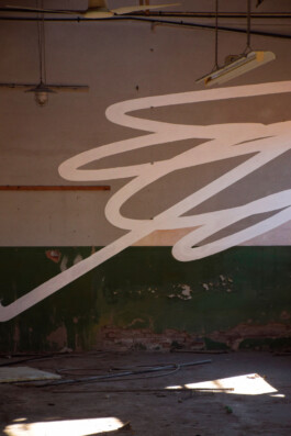 Leonardo Dal Bo Lo Porto