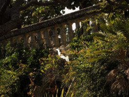 Leonardo Dal Bo Lo Porto