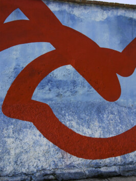 Leonardo Dal Bo Lo Porto