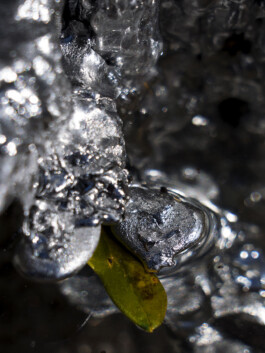 Leonardo Dal Bo Lo Porto