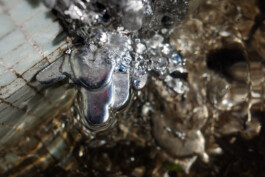 Leonardo Dal Bo Lo Porto