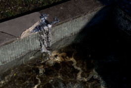 Leonardo Dal Bo Lo Porto