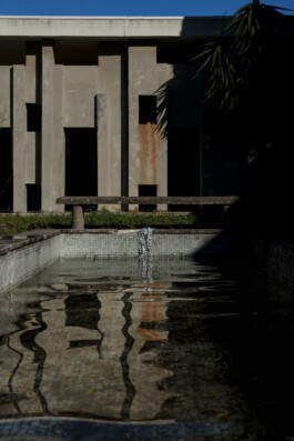 Leonardo Dal Bo Lo Porto