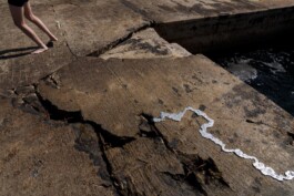 Leonardo Dal Bo Lo Porto