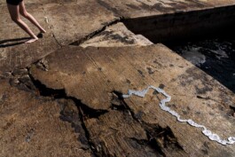 Leonardo Dal Bo Lo Porto