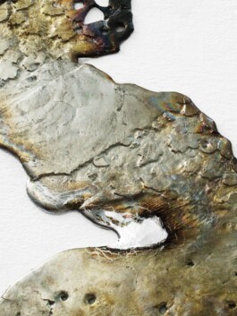 Leonardo Dal Bo Lo Porto