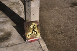 Leonardo Dal Bo Lo Porto