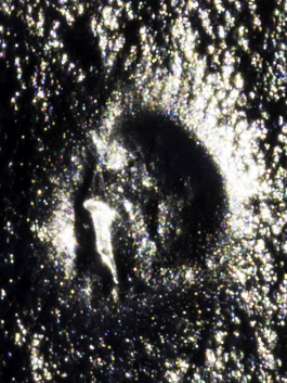 Leonardo Dal Bo Lo Porto