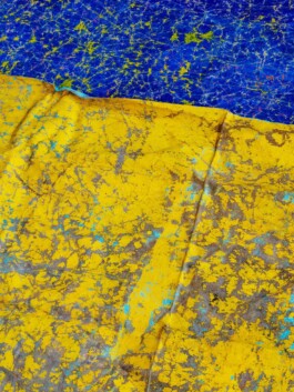 Leonardo Dal Bo Lo Porto